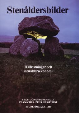 Stenåldersbilder (1981)